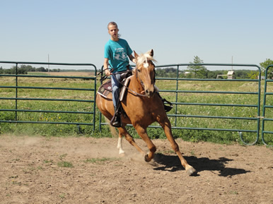 riding in the round pen