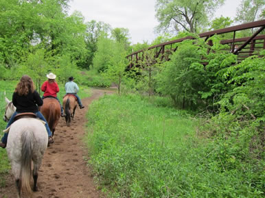 horseback rides