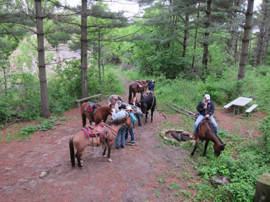 trail ride on horses