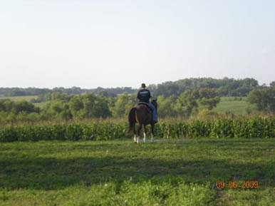 horse pasture