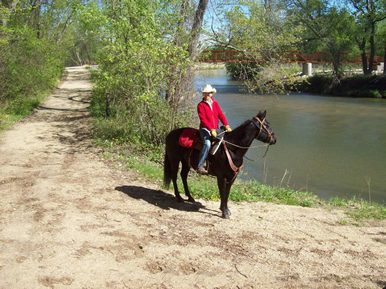 trail riding on horseback