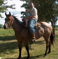 horse for lease