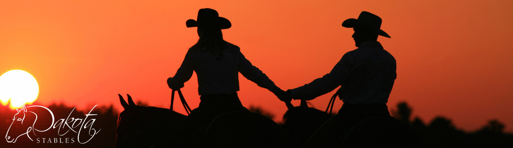 Dakota Stables Banner
