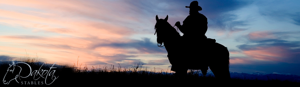Dakota Stables Banner