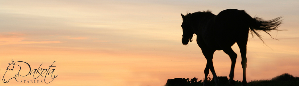 Dakota Stables Banner