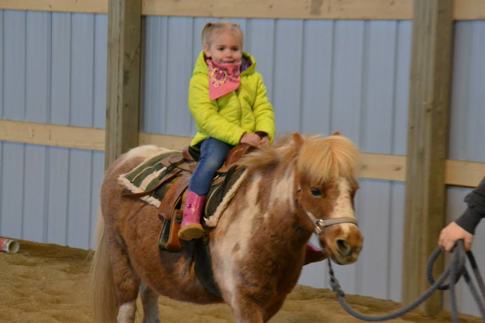 Minnesota pony rides