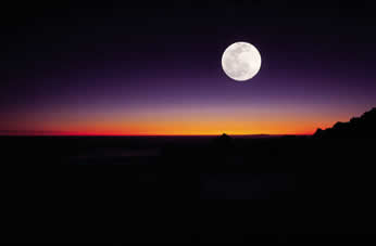 Full Moon Horseback Ride