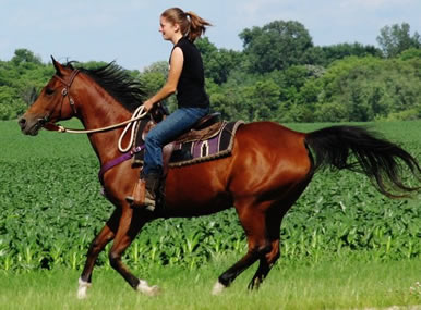 horseback riding at dakota stables