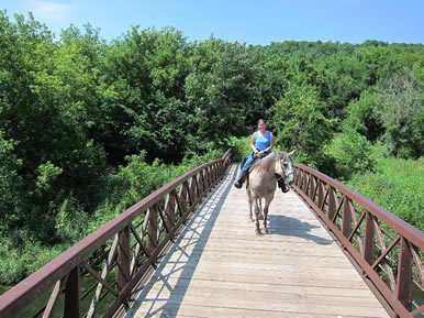 MN Horseback Riding