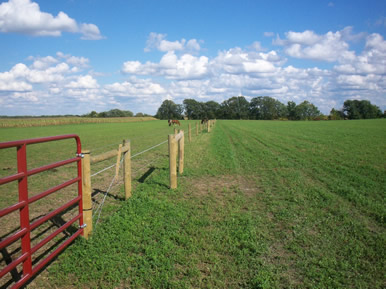 Dakota Stables Horse Farm