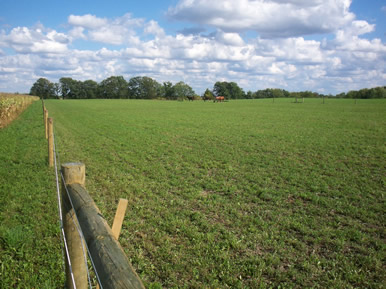 Horse pasture for boarding