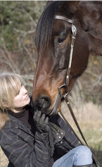 Dakota Stables horse training