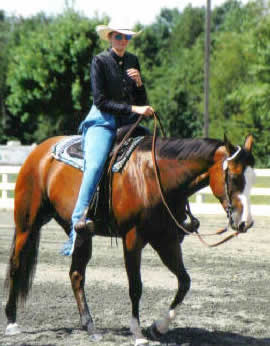 horse back riding leases