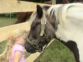 Birthday party and pony parties MN