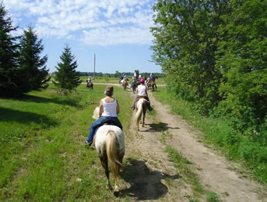 Trail Ride