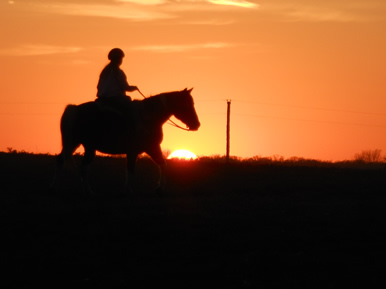 horse and sunset with Dakota Stables