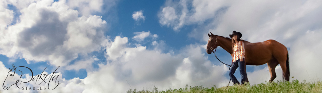 Dakota Stables Banner