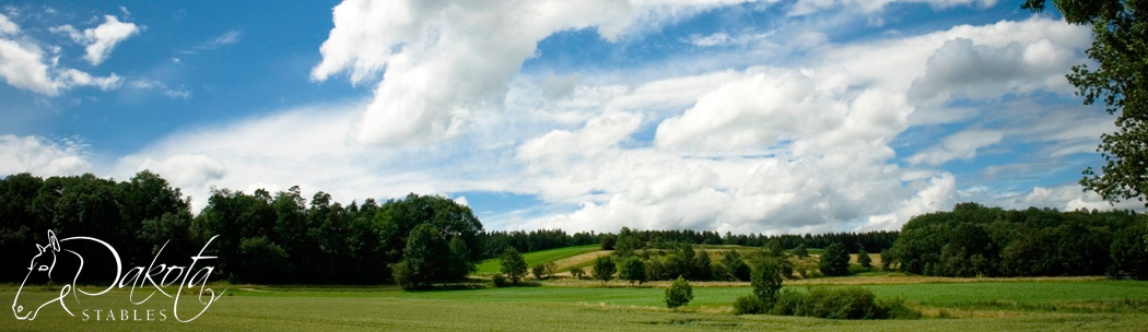 Dakota Stables Banner