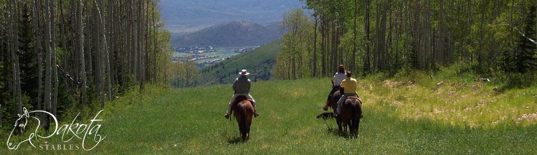 Dakota Stables Banner
