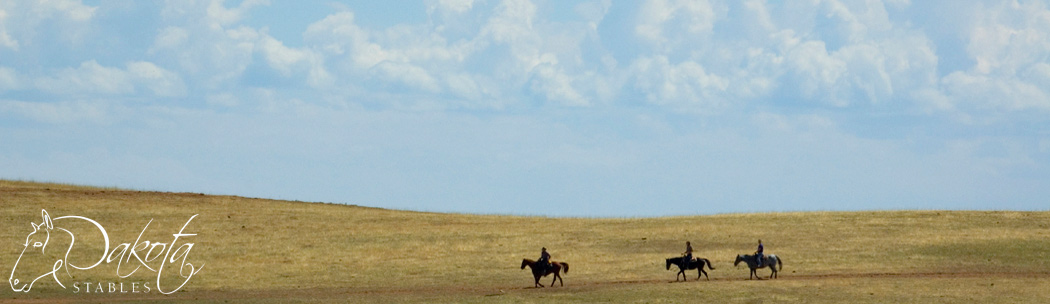 Dakota Stables Banner