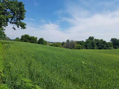 Dakota Stables horse pasture
