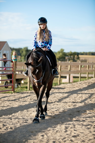 English Horse Riding MN