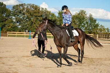 English horse Riding MN