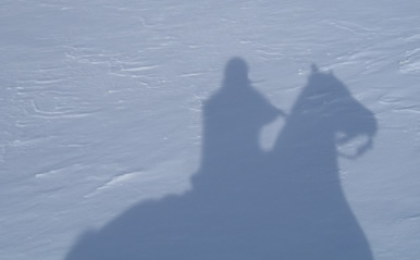 Dakota Stables horse