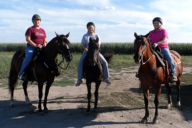 Dakota Stables horses