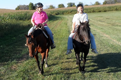 Dakota Stables horses