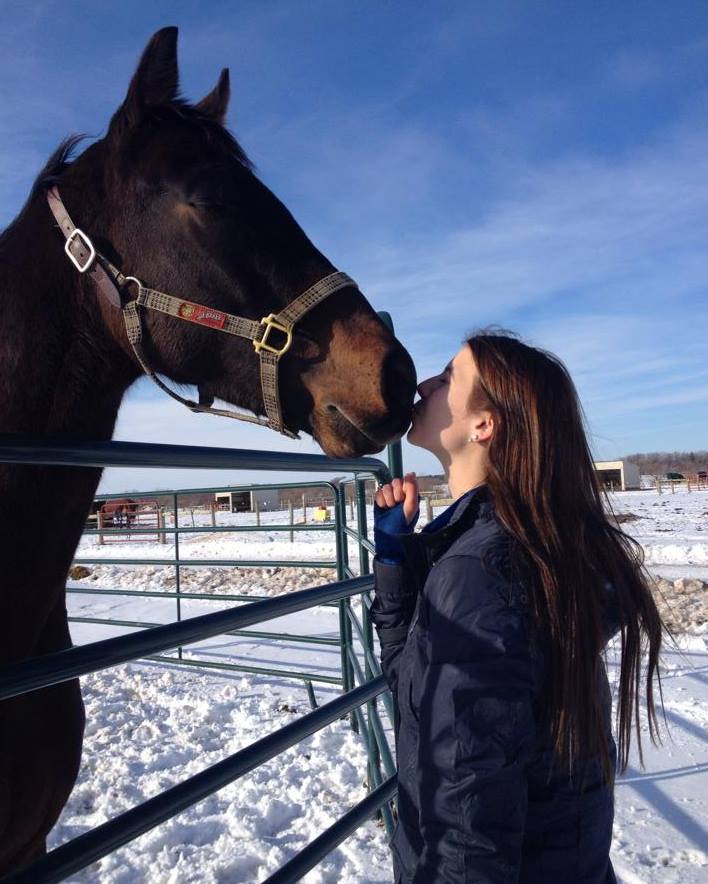 Dakota Stables horse