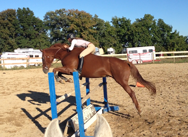 Dakota Stables Horse