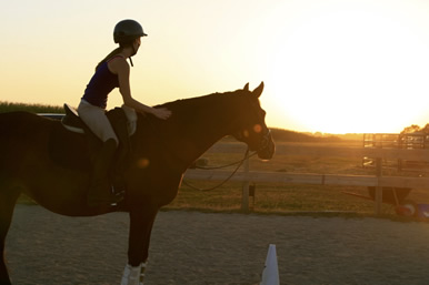 Dakota Stables horse
