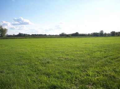 riding area for horses