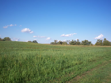 horseback riding area in MN