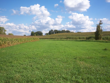 MN horse boading farm