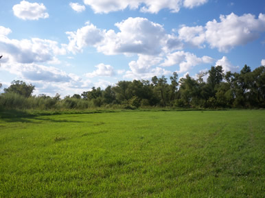 Horse boarding field