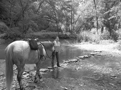 Forestville State Park Trail Ride