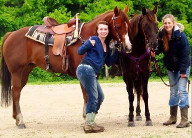 horses at dakota stables in Minnesota